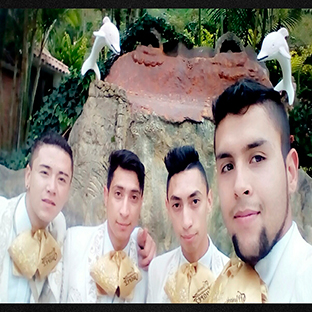Mariachi Show Juarez